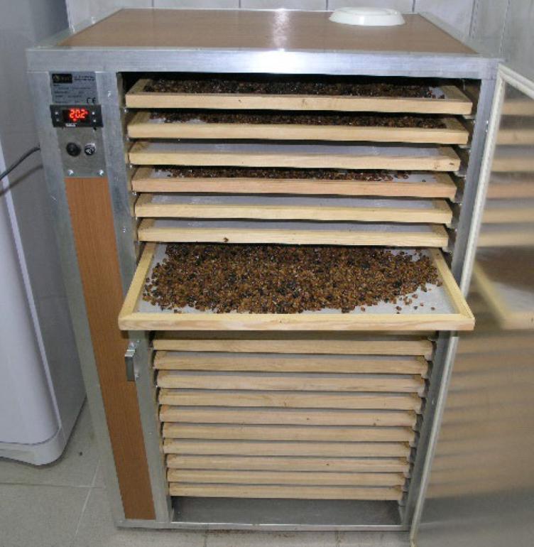 Bienenbrot als neue Einnahmequelle für Imkereien