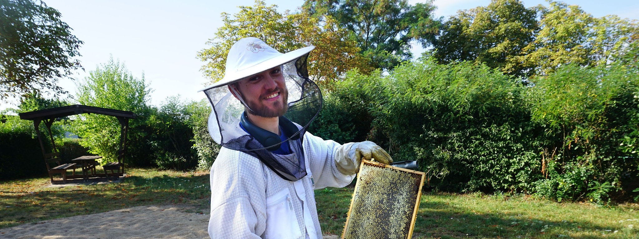 Hobbyimker allein können Bienensterben nicht aufhalten