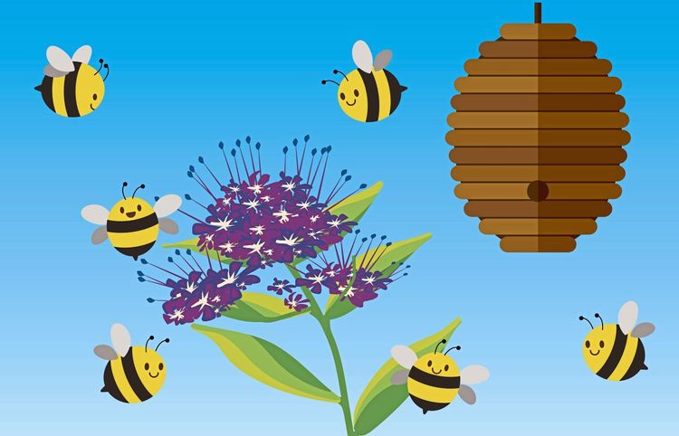 Fleißige Bienchen – sieben spannende Fakten