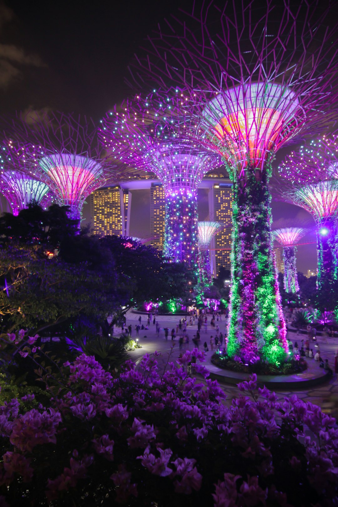 Family-Friendly Promotions and Offers